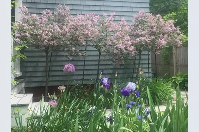 71 Addington Rd, Brookline, MA 02445 - Photo 40