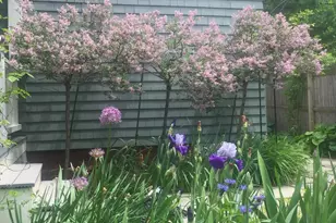 71 Addington Rd, Brookline, MA 02445 - Photo 40