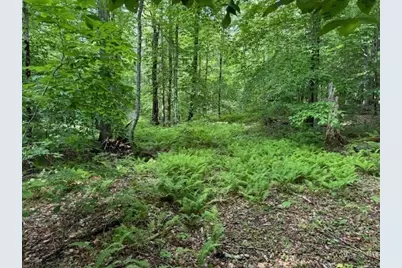 Lot 121 Davis Mine Rd, Rowe, MA 01367 - Photo 6