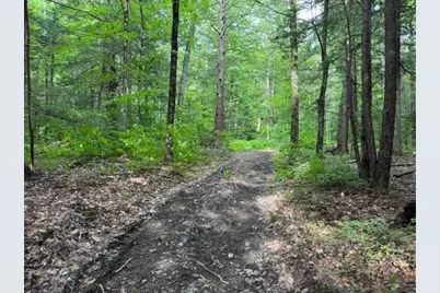 Lot 121 Davis Mine Rd, Rowe, MA 01367 - Photo 4
