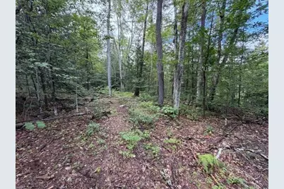 Lot 121 Davis Mine Rd, Rowe, MA 01367 - Photo 10