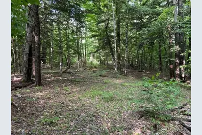 Lot 121 Davis Mine Rd, Rowe, MA 01367 - Photo 8