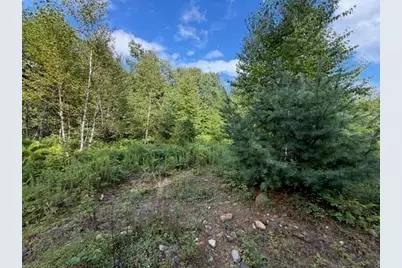 Lot 121 Davis Mine Rd, Rowe, MA 01367 - Photo 16