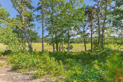 56 Warren Road, Wellfleet, MA 02667 - Photo 26