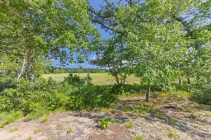 56 Warren Rd, Wellfleet, MA 02667 - Photo 30