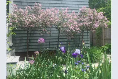 71 Addington Rd, Brookline, MA 02445 - Photo 40