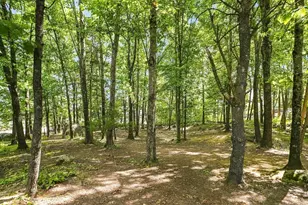2201 Briarwood Village, Clinton, MA 01510 - Photo 38