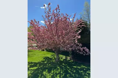14 Orchard Ln, Abington, MA 02351 - Photo 30