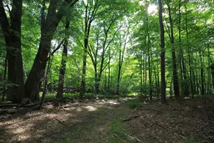 88 Ames Rd, Hampden, MA 01036 - Photo 38