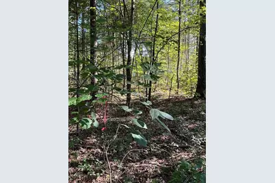 18 Country Ln, Palmer, MA 01069 - Photo 12