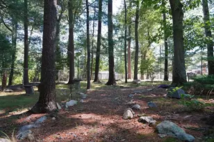 60 Old Farm Rd, Mansfield, MA 02048 - Photo 38