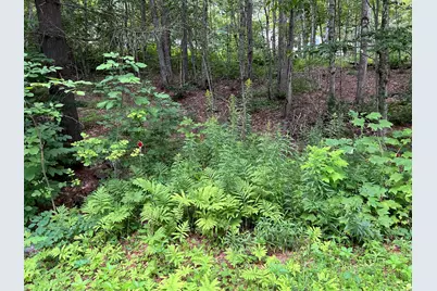 Lot 134 Shaw Rd, Windsor, MA 01270 - Photo 2