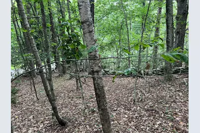Lot 134 Shaw Rd, Windsor, MA 01270 - Photo 12