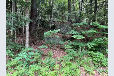 Lot 134 Shaw Rd, Windsor, MA 01270 - Photo 4