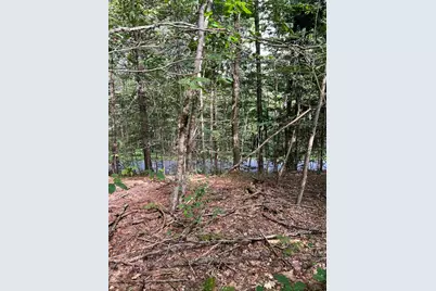 Lot 134 Shaw Rd, Windsor, MA 01270 - Photo 18