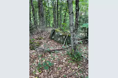 Lot 134 Shaw Rd, Windsor, MA 01270 - Photo 14