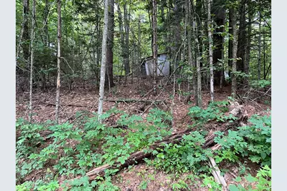 Lot 134 Shaw Rd, Windsor, MA 01270 - Photo 6