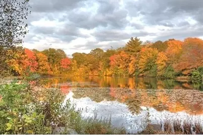 4 Forge Pond #F, Canton, MA 02021 - Photo 12