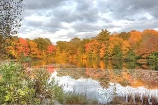 4 Forge Pond, Canton, MA 02021 - Photo 12