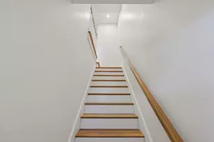 51 Eddy St, Newton, MA 02465 - Photo 20