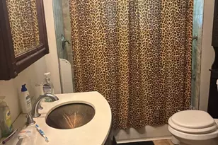 47 Orlando St, Boston, MA 02126 - Photo 10