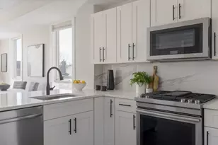 17 Chestnut Ave, Boston, MA 02130 - Photo 6