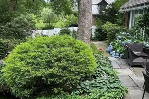 115 Aspen Ave, Newton, MA 02466 - Photo 34