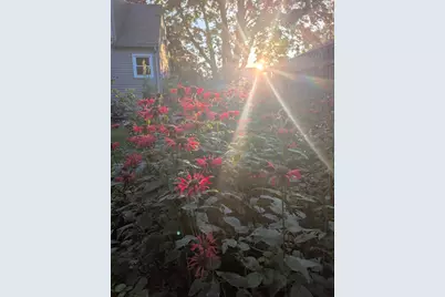 12 Linda St, South Hadley, MA 01075 - Photo 14