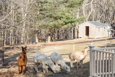 90 Manaquayak, West Tisbury, MA 02575 - Photo 34