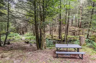 24 Haigis Rd, Bernardston, MA 01337 - Photo 32
