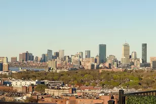 1 Nevins Hl Wy, Boston, MA 02135 - Photo 38