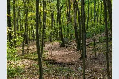 80 Doublet Hill Rd, Weston, MA 02493 - Photo 6