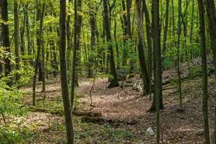 80 Doublet Hill Rd, Weston, MA 02493 - Photo 6