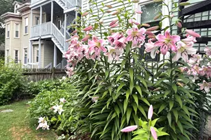 9 Peabody St, Newton, MA 02458 - Photo 18