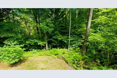 67 Woodlot Rd, Amherst, MA 01002 - Photo 34