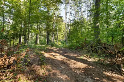 40 Porter St, Granby, MA 01033 - Photo 36