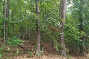 1005 Park Hill Rd, Northampton, MA 01062 - Photo 1