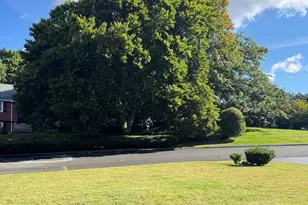 40 Woodfall Rd, Belmont, MA 02478 - Photo 34