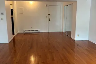 125 Pleasant, Brookline, MA 02446 - Photo 6