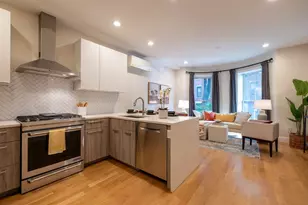 55 E Springfield St, Boston, MA 02118 - Photo 2