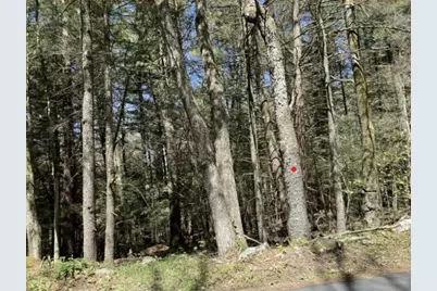 0 Burt Hill Rd Parcel 16, Tolland, MA 01034 - Photo 2