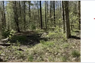 0 Burt Hill Rd Parcel 19, Tolland, MA 01034 - Photo 2
