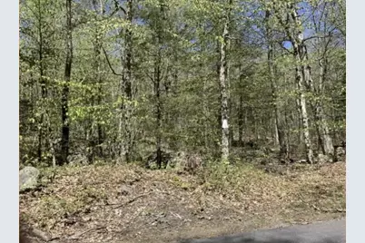 0 New Boston Rd Parcel 1, Tolland, MA 01034 - Photo 2