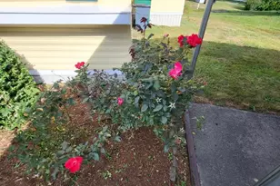 45 Redwood Dr, Halifax, MA 02338 - Photo 22