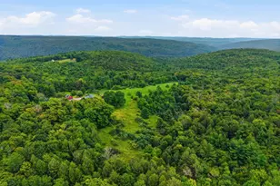 69 Cone Rd, Middlefield, MA 01243 - Photo 40