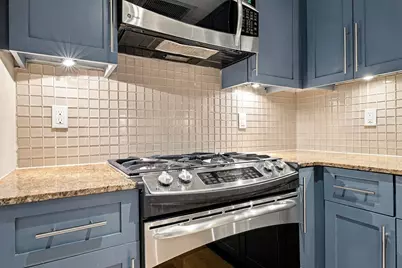 19 Father Francis Gilday St #102, Boston, MA 02118 - Photo 10