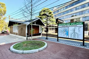 17 High St, Brookline, MA 02445 - Photo 40