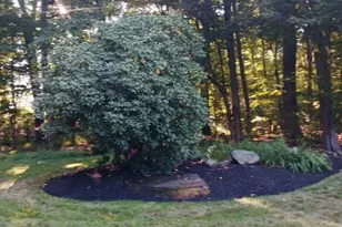 445 Green St, Northborough, MA 01532 - Photo 10