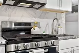 38 Moreland St, Boston, MA 02119 - Photo 8