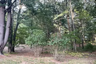12 Hampton Rd, Sharon, MA 02067 - Photo 18